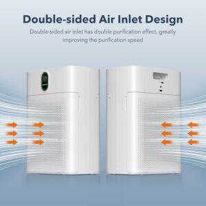 Double-sided air inlet for purification